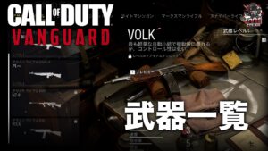 CoDV『CoD:ヴァンガード』 | ロードアウト #1  全武器22種・リーサル6種・タクティカル5種 （ベータ時点） - EAA