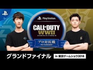 【グランドファイナル】コール オブ デューティ ワールドウォーII プロ対抗戦 in 東京ゲームショウ2018