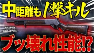 中距離1発キル可能なショットガン「アイアンハイド」がブッ壊れ性能すぎてチート武器にしか思えない件ｗｗ【CoD:BOCW】【害悪SG】