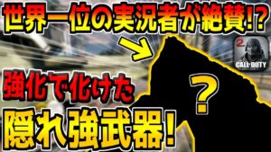 世界一位に認められるほど超強化された"全距離2確の武器"を使ったらキルレ爆上がり！わーい！【CODモバイル】