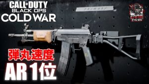 CoD:BOCW | AR最強の弾速を誇る新武器「GRAV（ガリル）」プレイ映像【コール オブ デューティ ブラックオプスコールドウォー】- EAA