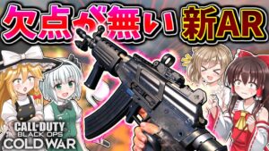 【CoD:BOCW】新武器【Grav】目立った欠点が無い、安定感抜群の強ARだった！！【ゆっくり実況】