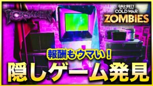 【CoD:BOCWゾンビ】マジっすかwwwまさか過ぎる隠しゲームが発見された件について！　Call of Duty Black ops Cold War【FORSAKEN】