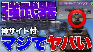 [codモバイル]めちゃめちゃ見やすい迷彩のHolgarがmx9 m13に張り合える件についてwwwこれくそ強いぞwww