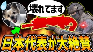 元日本代表が『これぶっ壊れですw』と大絶賛したMX9キラー武器がまさかのアイツだった件についてww【CODモバイル】〈KAME〉