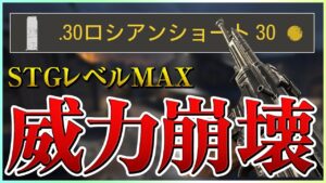 【新作COD】最速でレベルMAXにしたSTGの性能が最強すぎたwww【コールオブデューティー ヴァンガード/PS4/武器/おすすめアタッチメント】