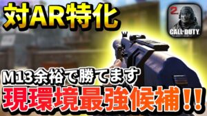 【CODモバイル】環境ぶっささり！！対ARでほとんど撃ち勝てる神武器あります！！