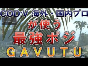 〖COD:V〗海外・国内プロが使う "最強ポジ" GAVUTU編