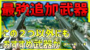 【COD:V】新武器ARもSR強すぎｗｗｗでも一番はアレでした！！  【ななか】