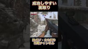 【COD Vanguard】成功しやすい裏取り!デミャンスク