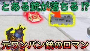 【CoDモバイル】バトロワ　とある銃が落ちる⁉︎元ワンパン銃のロマン‼︎普通に強すぎる‼︎