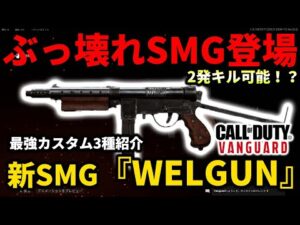 【CoD:V実況】新SMG『WELGUN』が2発キル可能でバグレベルの強さなんだがｗｗ最強カスタム3種紹介！超火力から無ブレSMGにまで変貌するぞ！！！
