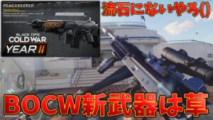 BOCWに新武器追加⁇内部データorフェイクだと思うけどシンプルに懐かしオモロくて草【CoD:Vanguard:実況】