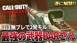 【COD:V】遂に解禁！ほぼ無ブレで2発キルできるBARさんがヤバいｗｗ【強すぎる】