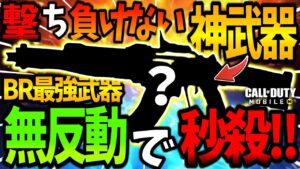 【CoDモバイル バトロワ】来シーズンリーク情報!!環境武器はこれダ!!