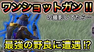 【CoDモバイル】バトロワ　ワンショットガン‼︎の撮影してたら最強の野良に遭遇した⁉︎