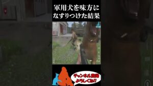 【CoD】軍用犬を味方になすりつけた結果...　#Shorts
