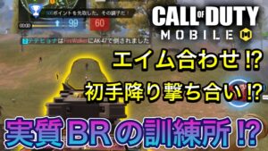 【CoDモバイル】バトロワ　エイム合わせ⁉︎初手降り撃ち合い⁉︎実質BRの訓練所じゃないかこれは‼︎WARFARE‼︎