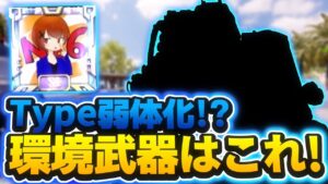 来シーズンType弱体化で大荒れの予感？！次なる環境武器はコイツだ！！【CoDモバイル】【ろくたん】