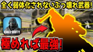 約2年間、ずっと環境トップに君臨し続けている最強武器がこいつです。【CODモバイル】