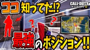 【CoDモバイル バトロワ】激戦区リバータウンのハイドポジが優秀すぎたww
