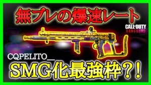 【CoD:V】新武器AR『KG M40』MAXレートで運用!!ブレない凸れる最強なのでは?!【CoDヴァンガード】【コールオブデューティヴァンガード】