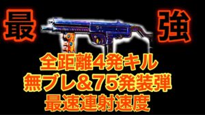 【また壊れ武器】フルカスタムした新武器がヤバすぎてこれは荒れるwww【COD：V】