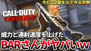 【COD:V】今だに2発キル！威力と連射速度を上げた『BARさん』がヤバかったｗｗ【制御が大変】