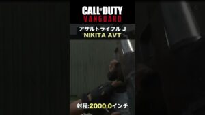 CoD:ヴァンガード | シーズン3 新武器AR「NIKITA AVT」壁撃ち紹介