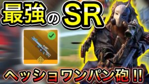 【CoDモバイル】バトロワ　最強のSRドローに登場‼︎スキンもカッコ良すぎて使用者続出⁉︎ヘッショ300ダメージのロマン砲‼︎ガチャ動画オマケで最後あり‼︎