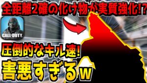 あの害悪が強化されたことによって全距離2確の化け物武器も実質強化されてる件について。【CODモバイル】
