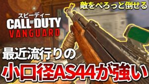 【COD:V】最近人気のアサルト『AS44』の小口径カスタムが強すぎるｗｗ【世はまさに小口径】