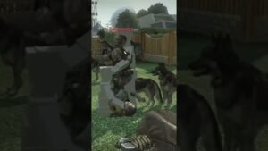 Call of Duty black Ops 2 online