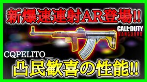 【CoD:V】新武器高レート『NIKITA AVT』登場!!実質SMGぐらいの性能でバッチバチに撃ち合える!!【CoDヴァンガード】【コールオブデューティヴァンガード】