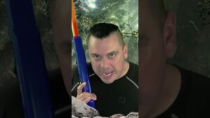 How To Spot Little Timmy's in Warzone ( Call of Duty )