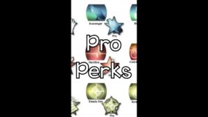 "Pro Perks" (Missing COD Features Part 4)