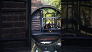 call of duty warzone best kills ever