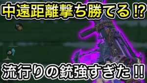 中遠距離腕勝てる⁉︎流行りの銃が強すぎてヤバい‼︎安定感最強、ダメージ最低20‼︎【CoDモバイル】