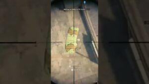 Call Of Duty Warzone AX-50 Rebirth