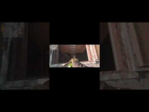 Call Of Duty warzone #shorts #callofdutywarzone