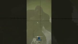 Call of Duty Warzone King Kong