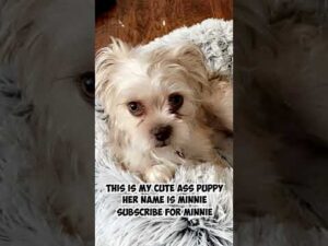 RANKING EVERY SNIPER IN BO3! | Call of Duty Shorts