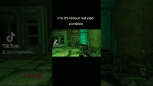 fallout not cod zombies
