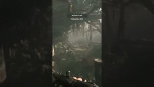 Até voou Call of Duty vanguard