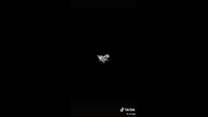 WarZone is Fun Part 6