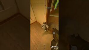 WarZone is Fun Part 7