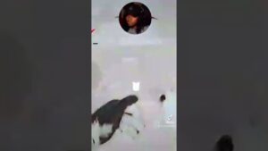 When you become the target 🤣 #shorts #callofduty #coldwar