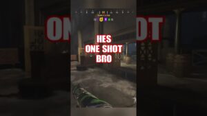 Why teammates lie about the enemy being "one shot"🧐