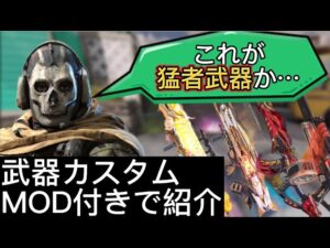 【CODモバイルBR】猛者達がコッソリ使ってる隠れ最強武器5選カスタム＋MOD付きで紹介していく！