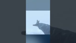 【COD:MW2】敵地潜入で暴れまくって上司にツッコまれる部下 #shorts